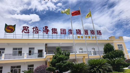 匠心铸品质 深耕拓新局——解码江西思倍得农牧集团的产业发展之路