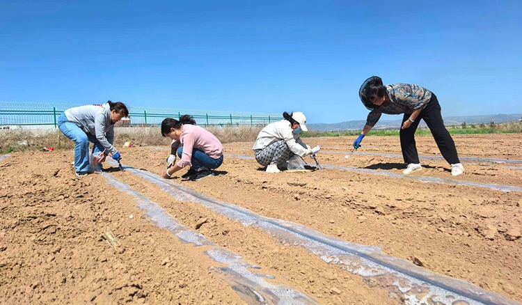 山西朔州西易村：汗水浇灌幸福  奋斗成就未来